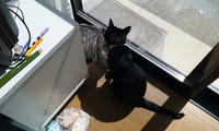 blog2010_9-26_4.jpg