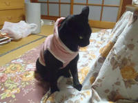 blog2010_9-29_1.jpg