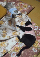 blog2010_9-29_3.jpg