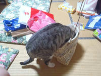 blog2010_9-20_17.jpg