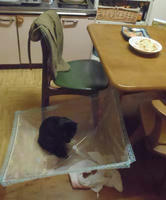blog2010_9-20_18.jpg