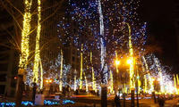 blog2011_1-9_2.jpg