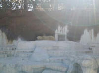 blog2011_1-10_2.jpg