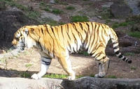 blog2011_1-10_4.jpg
