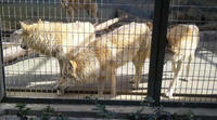 blog2011_1-10_5.jpg