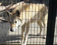 blog2011_1-10_6.jpg