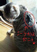 blog2011_1-10_11.jpg