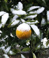 blog2011_2-11_1.jpg