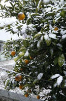 blog2011_2-11_2.jpg