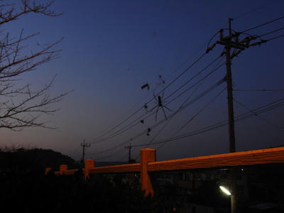 RIMG0150.jpg