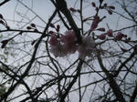 IMG_2497.JPG