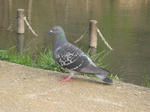 IMG_2494.JPG