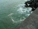 DSCF0131.jpg