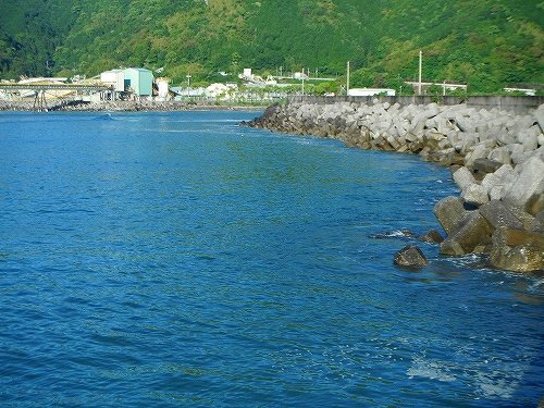 DSCF0382.jpg