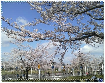 2011042910490002.jpg