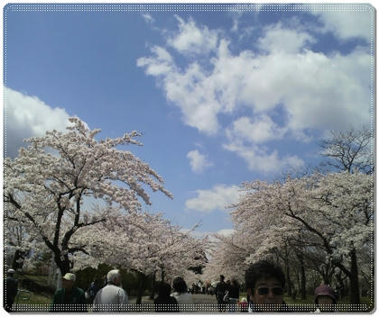 2011042911520000.jpg