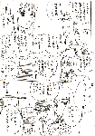 rakugaki2.gif