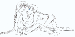 13.gif