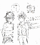 100.gif