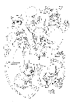 173.gif