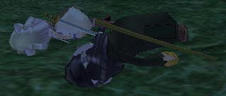 mabinogi_2009_05_12_008.jpg