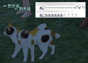mabinogi_2009_05_12_014.jpg