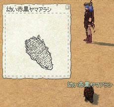 mabinogi_2009_05_16_003.jpg