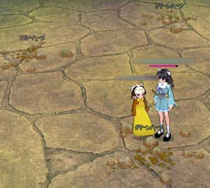 mabinogi_2009_05_18_002.jpg