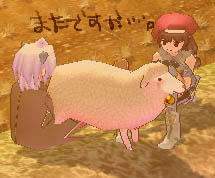 mabinogi_2009_05_20_020.jpg
