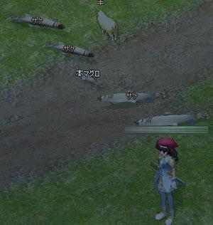 mabinogi_2009_05_22_011.jpg