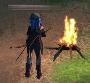 mabinogi_2009_05_23_001.jpg