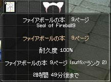mabinogi_2009_06_30_001.jpg