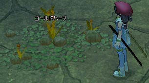 mabinogi_2009_07_05_004.jpg
