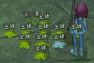 mabinogi_2009_07_05_005.jpg