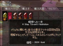 mabinogi_2009_07_13_003.jpg
