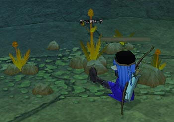 mabinogi_2009_08_29_006.jpg