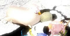 mabinogi_2009_10_03_006.jpg