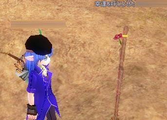 mabinogi_2009_10_08_004.jpg