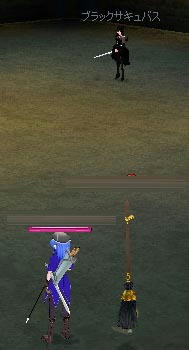mabinogi_2009_10_12_001.jpg