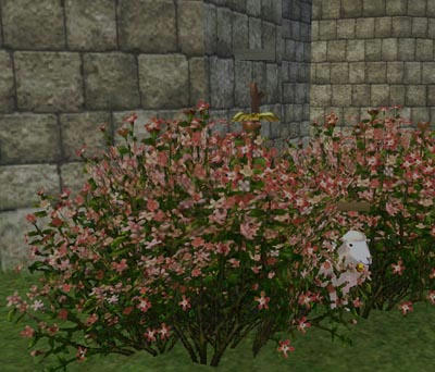 mabinogi_2009_10_15_014.jpg
