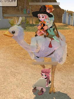 mabinogi_2009_10_16_002.jpg
