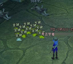 mabinogi_2009_10_23_001.jpg