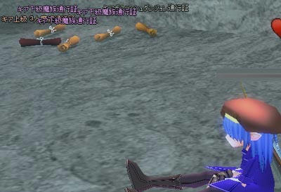 mabinogi_2009_10_24_007.jpg