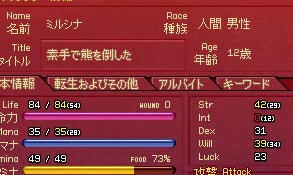 mabinogi_2009_11_04_003.jpg