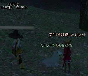 mabinogi_2009_11_04_004.jpg