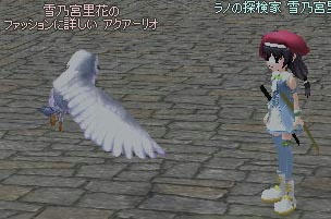 mabinogi_2009_11_10_001.jpg