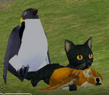 mabinogi_2009_11_14_012.jpg