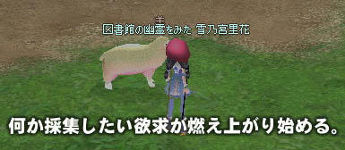 mabinogi_2009_11_17_002.jpg