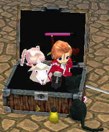 mabinogi_2009_11_25_005.jpg