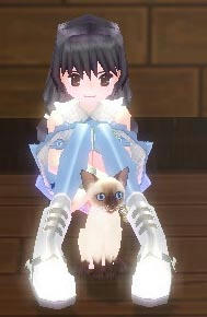 mabinogi_2009_11_28_005.jpg